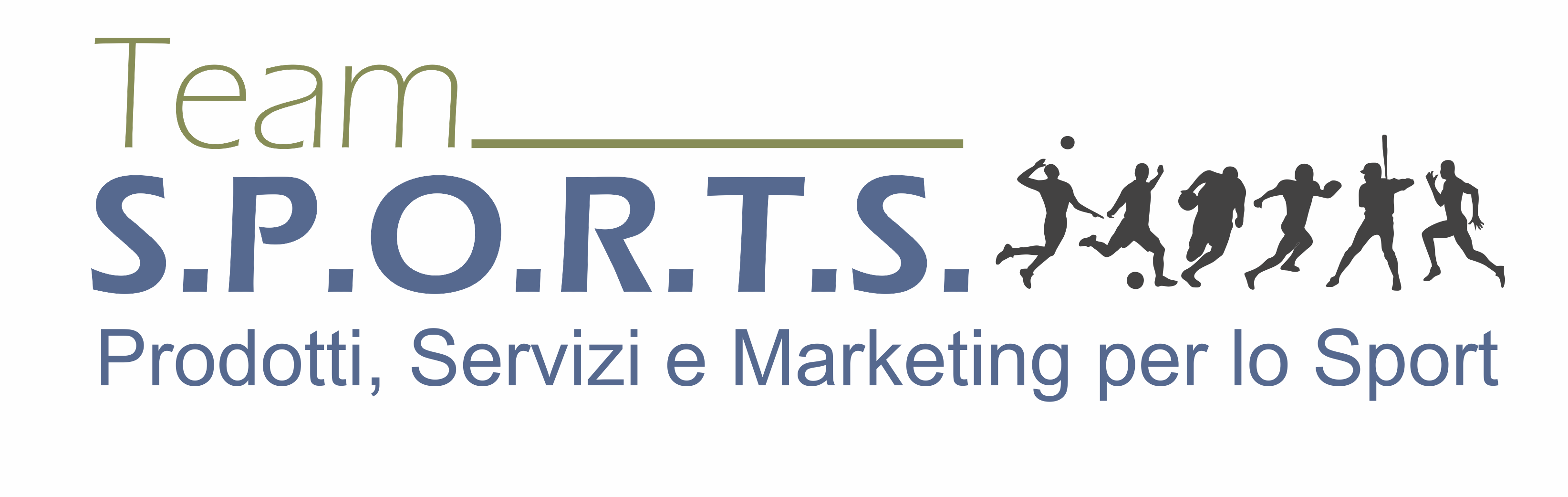 LOGO TEAM SPORTS